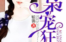 娱乐吃瓜酱妻子小说阅读,妻子背后的爱情故事