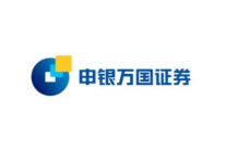 申银万国证券,中国领先综合类证券公司的崛起与发展