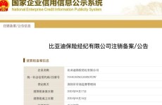 比亚迪保险经纪公司注销 相关人士回应：对保险业务不造成影响2025年6月6日
