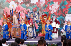 中华戏曲网,探寻传统戏曲文化的瑰宝与传承
