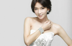 林志玲年龄和个人资料,优雅女神的岁月流转与美丽传奇”