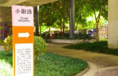 拾光铺子吃瓜娱乐,揭秘吃瓜娱乐背后的独特魅力与商业价值