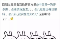 娱乐大事件吃瓜,揭秘最新大事件吃瓜指南