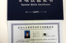 人力资源管理师已取消,人力资源管理师职业资格认证取消后的行业影响与转型路径