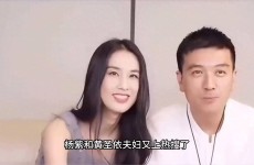 杨子黄圣依夫妇消息间声称演戏引众怒，吃瓜网杨紫