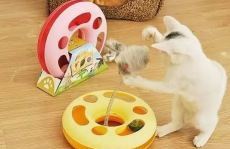 猫咪娱乐玩具,创意娱乐玩具大盘点