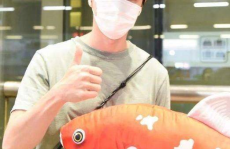 娱乐吃瓜酱养鱼,揭秘网红养鱼背后的趣味生活