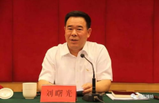 吃瓜网潍坊村书记,吃瓜网上的风云人物