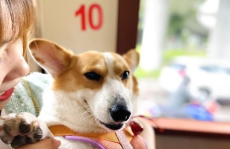 2023娱乐吃瓜爆料,揭秘年度最热吃瓜爆料