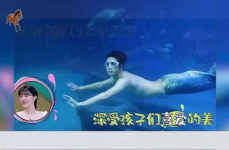 娱乐圈憨批,笑料百出，星光熠熠的憨态可掬瞬间